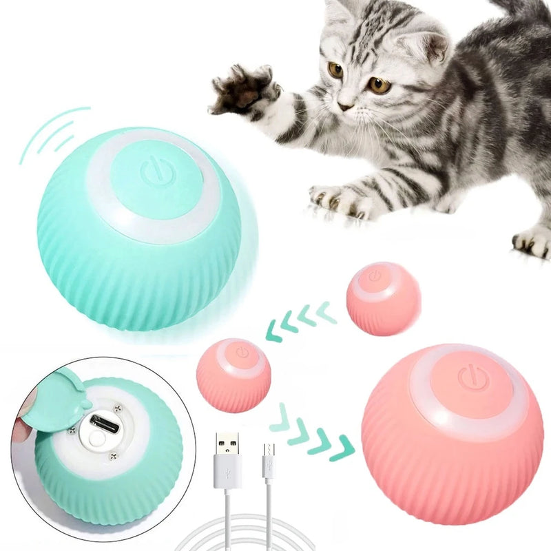 Bola Automática para Pet- Carregamento USB